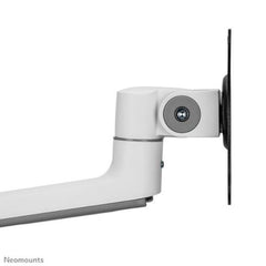 Braccio per monitor DS60-425WH1