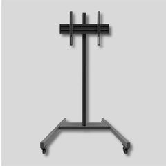 Supporto video con ruote per video 42"-75" fio a 70 kg