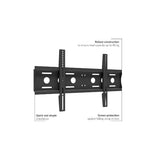 Staffa da muro per video 50-86" fino a 80 kg VESA 800X400