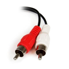 Cavo Stereo mini Jack 3,5mm a 2 RCA F/M