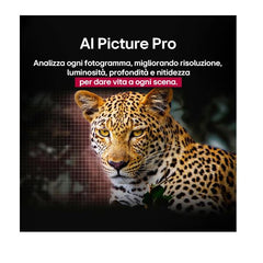 55 OLED B5 4K UHD PIEDINI LATERALI WEBOS25