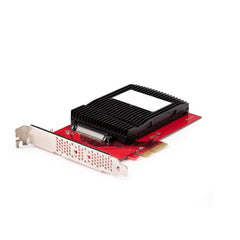 Scheda adattatore da U.3 a PCIe