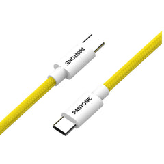 PANTONE - Cavo USB-C to USB-C potenza massima 60 Watt, connettore reversibile, lunghezza cavo 1.5 mt
