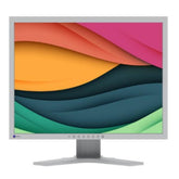 FlexScan S2134-GY