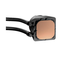 SKELETON240ARGB