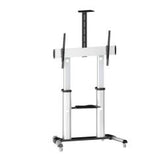 Stand 100VC Shelf