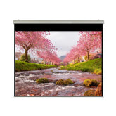 Elettrico 170x128 Professional