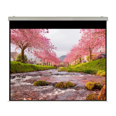 Elettrico 210x158 Professional