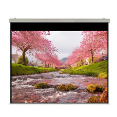 Elettrico 300x225 HT Professional