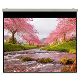 Elettrico 450x338 HT Rubin
