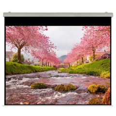 Elettrico 450x338 HT Rubin