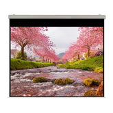 Elettrico 450x355 HT Rubin