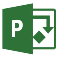 NCE - Project Online Essentials