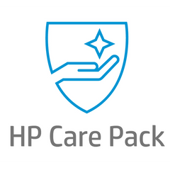 Care Pack 4 Anni Onsite NBD + DMR (per Desktop 400 G7 e 200 G6)