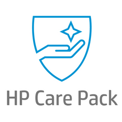 Care Pack 3 anni Onsite NBD + DMR (per Desktop)