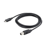 Cavo USB-C a USB-B da 2m - M/M