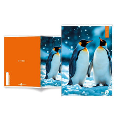 QUADERNI ANIMAL A4 80GR 5MM - CONF10