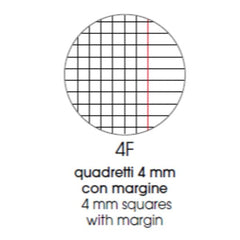 RICAMBI RINFORZATI BANDUP A4 100GR - 4F