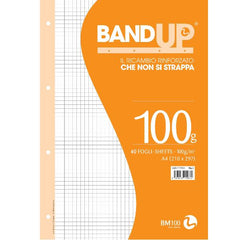 RICAMBI RINFORZATI BANDUP A4 100GR - Q