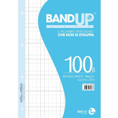 RICAMBI RINFORZATI BANDUP A4 100GR - 10F