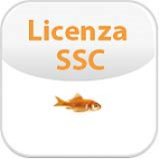 SSC