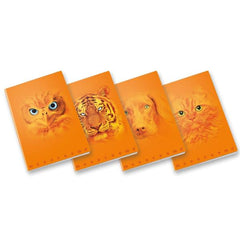 QUADERNO MONOCROMO ORANGE A4 100GR - 5 MM