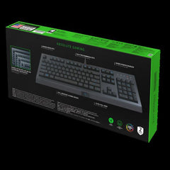 CYNOSA LITE - ITALIAN LAYOUTH