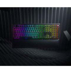 ORNATA V2