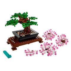 Albero Bonsai
