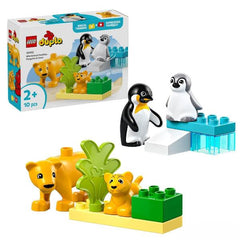 FAMIGLIE DI ANIMALI: PINGUINI E LEONI