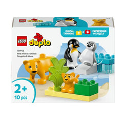 FAMIGLIE DI ANIMALI: PINGUINI E LEONI