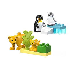 FAMIGLIE DI ANIMALI: PINGUINI E LEONI
