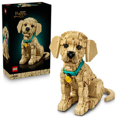 CUCCIOLO DI GOLDEN RETRIEVER