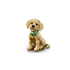CUCCIOLO DI GOLDEN RETRIEVER
