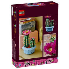 Cactus in fiore