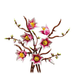 RAMETTI DI MAGNOLIA