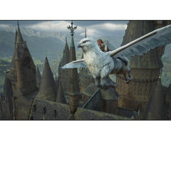HOGWARTS LEGACY SWITCH 2