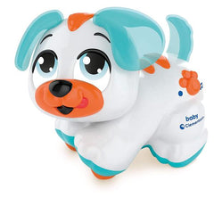 Cagnolino Cercacoccole