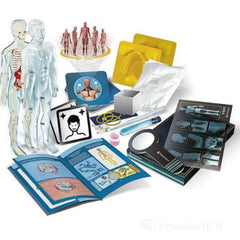 Anatomia Super