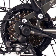 NILOX - Pacco Pignoni eBike K10 Plus