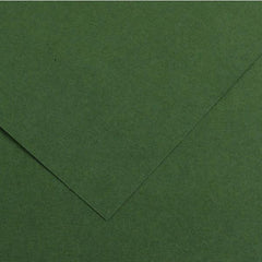 CANSON IRIS VIVALDI A3 185g 50ff - VERDE ABETE