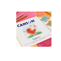 Canson - ColorLine 70x100 bianco