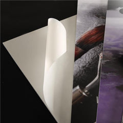 CARTON PLUME - BIANCO