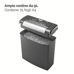 Momentum S206