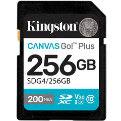 SD Canvas Go! Plus 256GB