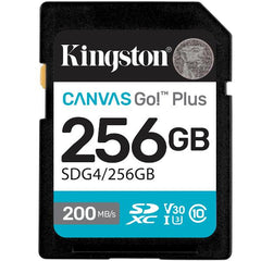 SD Canvas Go! Plus 256GB