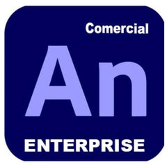 ANIMATE ENTERP MULTI