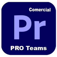 ADOBE PREMIERE PRO TEAMS MULTI