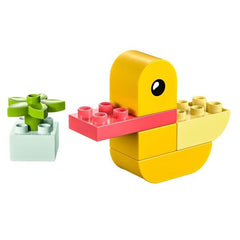 La mia prima anatra