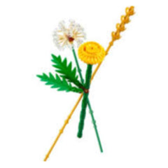 FIORI DI CAMPO